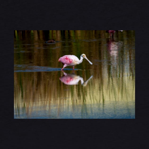 Roseate Spoonbill On the Move by Debra Martz